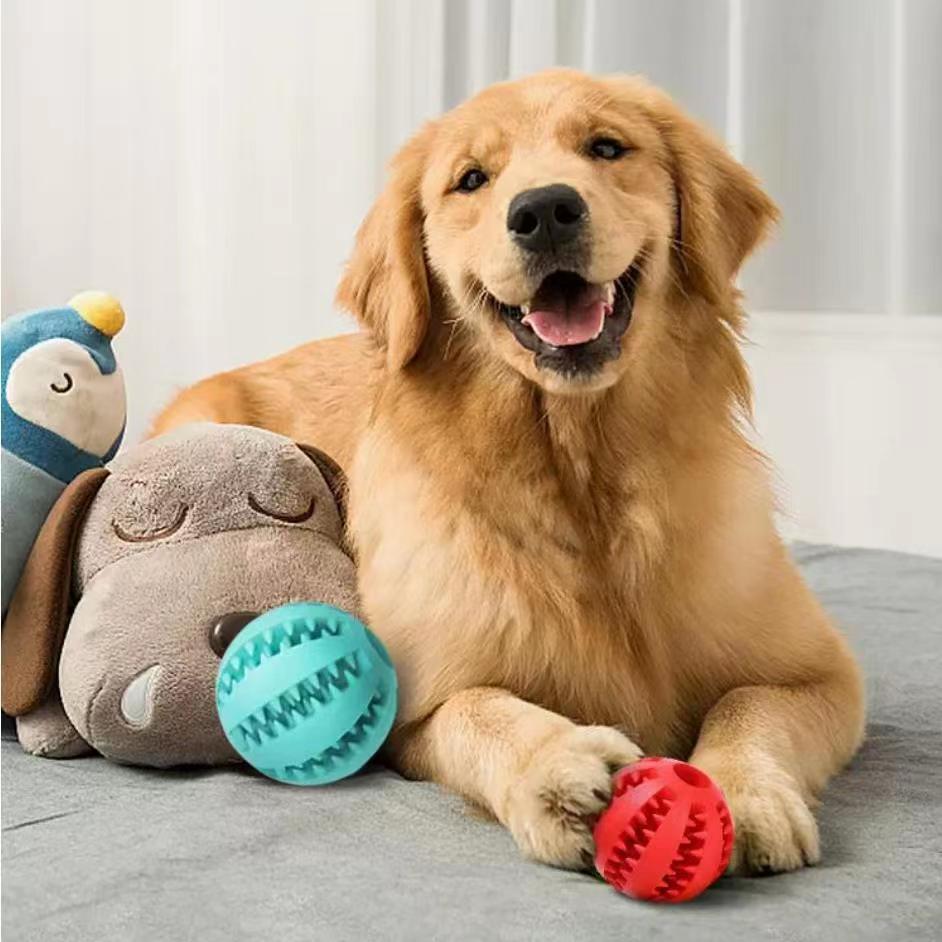 Interaktiv Bold med Reb - Image 5