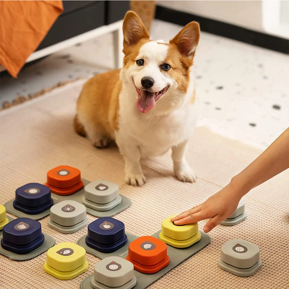 Talende Hundeknapper